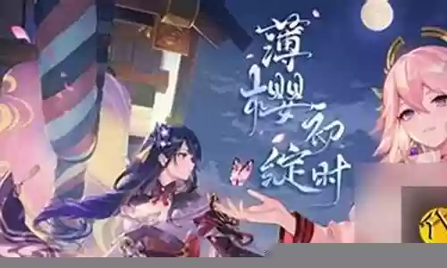平民雷电将军搭配什么阵容