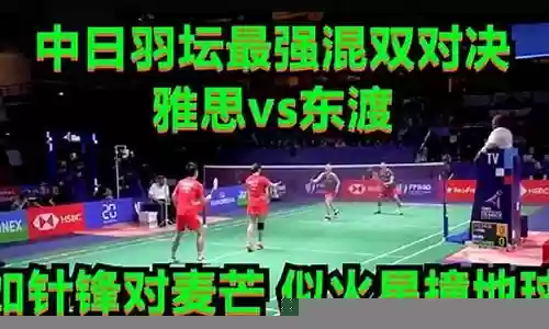 羽坛最强防守阵容搭配图
