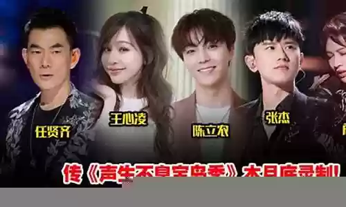 声声不息乐队阵容搭配图片