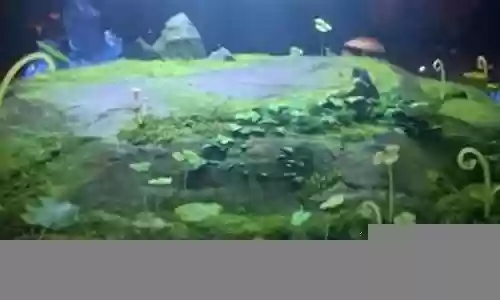 熊猫武师阵容搭配图片大全