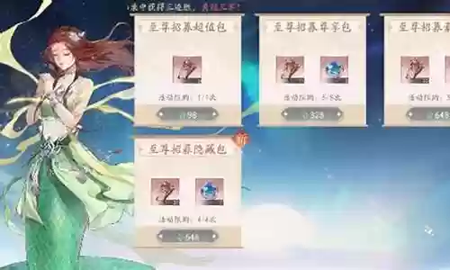 永恒之光氪金阵容搭配