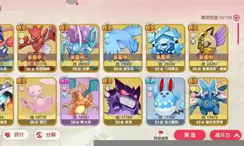 口袋训练中前期阵容搭配插图