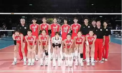 排球日本队阵容搭配