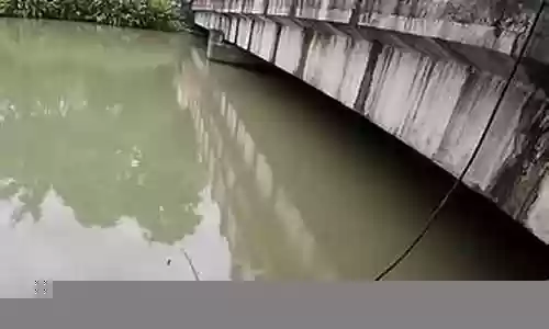 猎魔人魔影搭配什么阵容