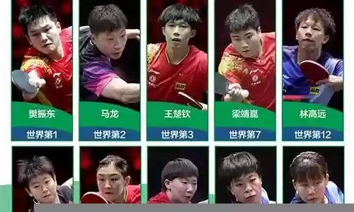 男乒梦幻阵容搭配最新