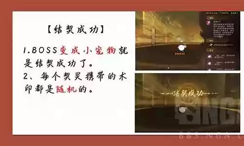 体验服怎么搭配阵容好
