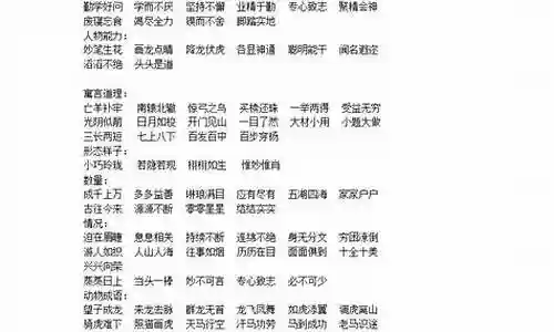 乐观的阵容搭配什么词