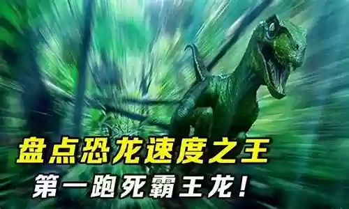 速度之王推荐阵容最新搭配