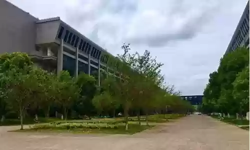 博士论文阵容搭配图