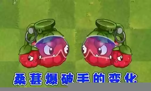 桑葚爆破手搭配阵容