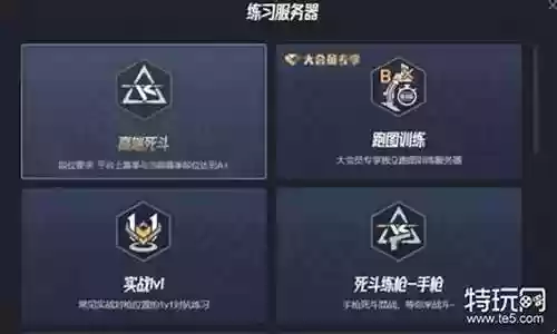 完美高端死斗阵容搭配