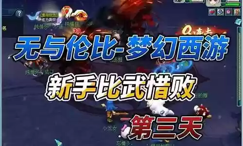 梦幻新手比武阵容搭配什么
