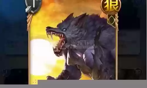 狼人对决最强阵容搭配