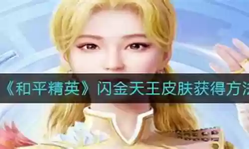 闪金天王怎么搭配阵容