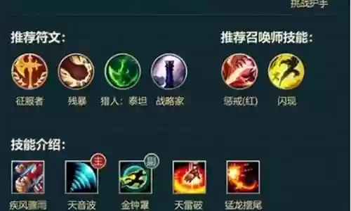 适合蜘蛛打野的阵容搭配