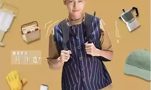 露营综艺阵容搭配图