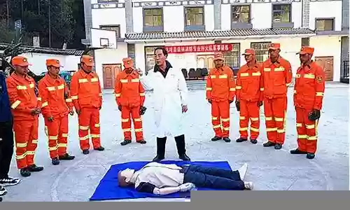 扑火队伍如何搭配阵容