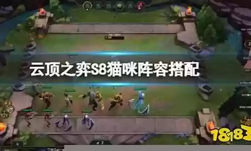 猫咪真身阵容搭配图表图片