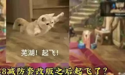 鬼泣异界5搭配阵容