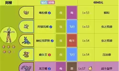 神奇宝贝天王阵容装备搭配