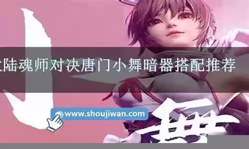 暗器小舞搭配阵容图