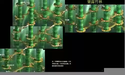 紫露竹林攻略